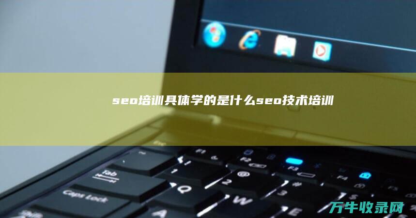 seo培训具体学的是什么 (seo技术培训)